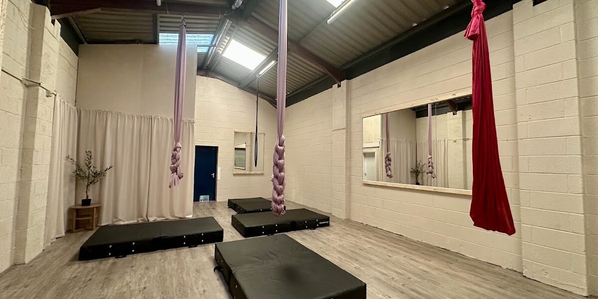 Rise pole and aerial fitness