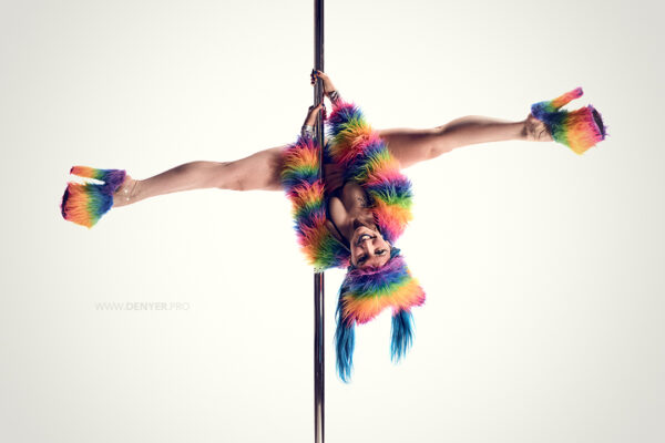 Emily’s Pole Fitness