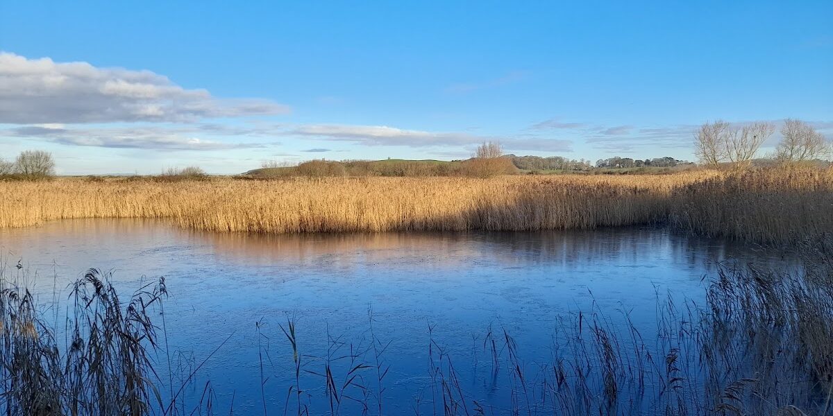 Bleadon Levels Nature Reserve