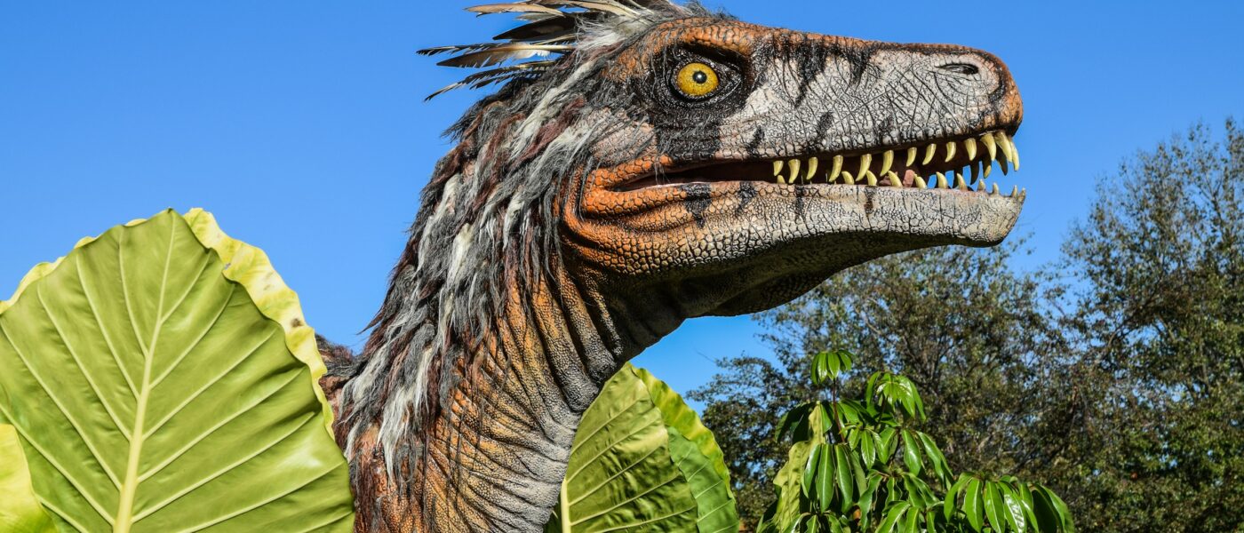 Dino Day!