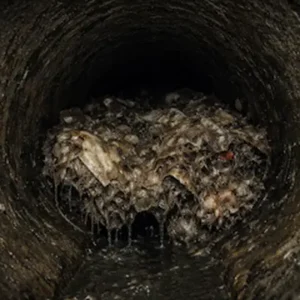 The Drain Inspector